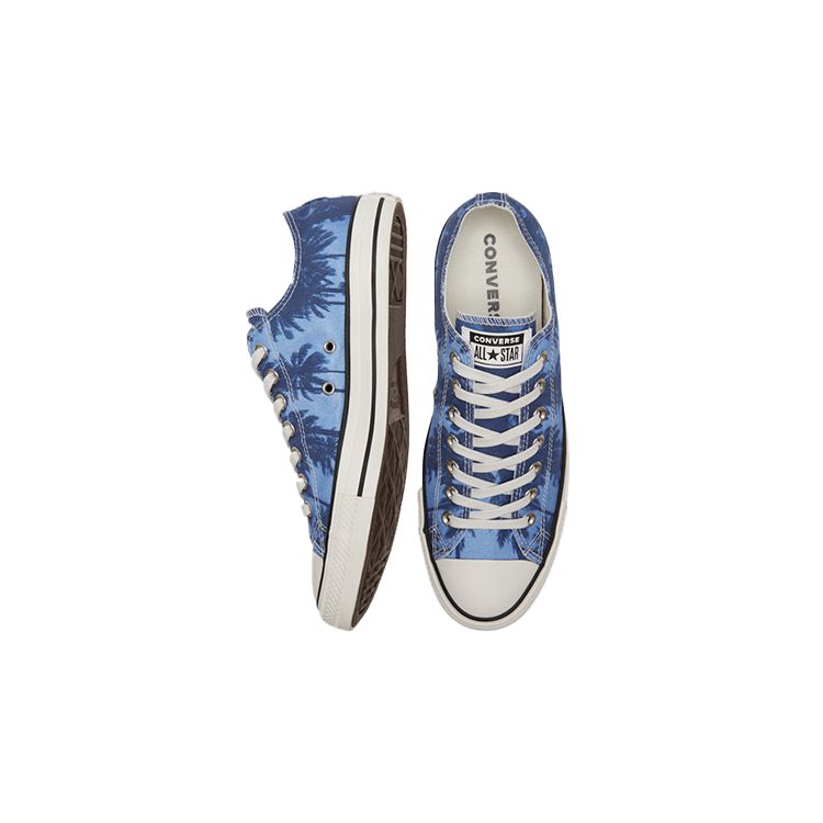 Converse Chuck Taylor All Star Винтажные Универсальные Низкие Кеды из Канваса Унисекс Синие 171299C