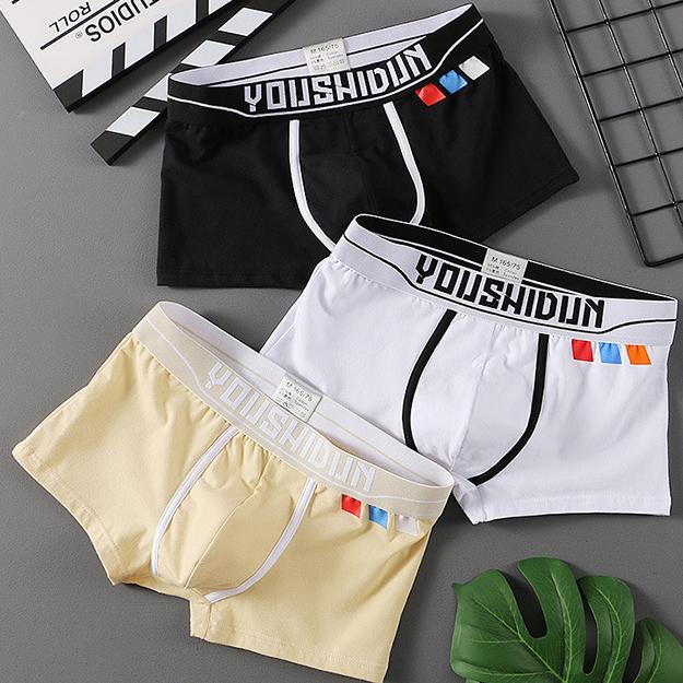 Fashion Boxer Men Underwear Cotton Breathable Mens Boxers Cuecas Masculinas Calzoncillos Panties M-3XL