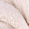 100*160cm Thicken Velvet Coral Fleece Fabric Cotton Lamb Plush Fabric Soft Warm For Diy Doll Dress Blanket Clothes Glove Lining