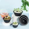 1 шт. Большой новый горшок для суккулентов Пластиковый круглый горшок для суккулентов Цветочный горшок для карликовых растений Садовый цветочный горшок Балконная цветочная корзина