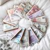 Новый рисунок печати валют Длинный кошелек Холщовый кошелек для монет Кошелек на молнии Упаковка для хранения Кошелек в стиле Доллар Фунт Евро Рубль