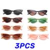 3PCS Women's Cat Eye Sunglasses Unisex Classic Small Frame Outdoor Goggle Shades Vintage Design UV400 Sun Glasses for Female