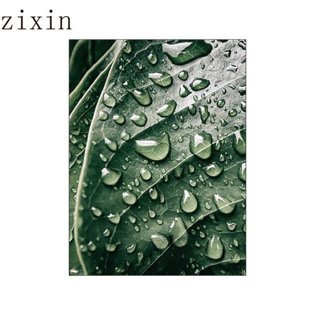 Зеленое растение, картина Монстера, постер, настенное искусство, холст, картина, скандинавские постеры, листья кактуса для гостиной, спальни, домашний декор