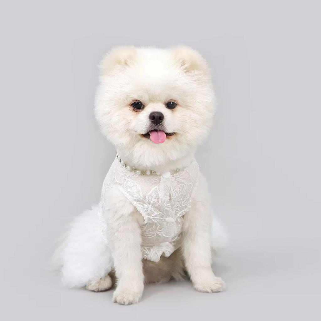 White Dog Dress Puppy Luxury Lace & Pearl Skirt Dog Clothes Princess Dresses Wedding Classic Dress Tutu Skirt for Small Dogs Cat