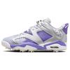 Air 6 Retro Low Golf NRG US Open Men Sneakers Silver Metallic-Silver Action-Grape FD0205-055