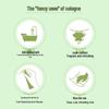 Jinyu Cool Summer Mosquito Repellent Floral Water & Peanut Oil Bundle