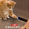 AUSCAT Cat Scratching Wall, Cardboard, L-Shaped Cat Scratching Post with Toy Ball, Vertical, H69cm