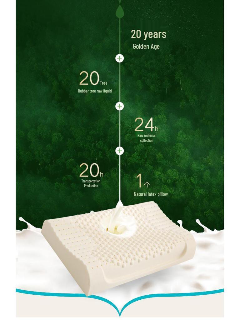 Thailand Children's Latex Neck Support Pillow - Wolf Tooth Design