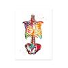 Human Structure Anatomy Muscles System Canvas Paintings Heart Lungs and Bones Posters Prints Medical Enthusiasts Wall Art Gift
