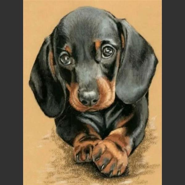 5D DIY Алмазная картина Милая маленькая черная собака Алмазная вышивка Набор для вышивки крестом Полный горный хрусталь Мозаика Домашний декор