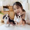 Stuffed Animal Stuffed Dog Dolls Puppy Husky Simulation Dog Plush Delicate Dog Plush Toys  Kids Toy