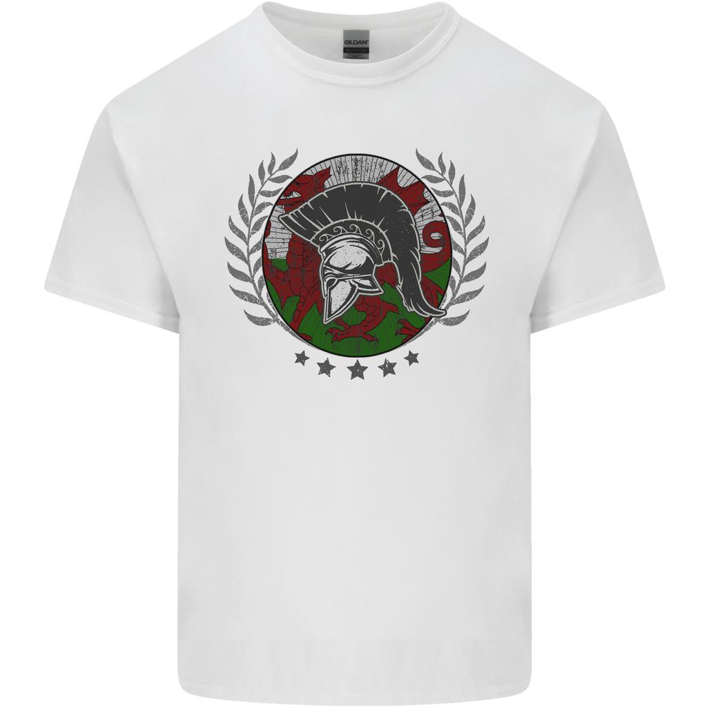 Welsh Bodybuilding Flag Gym Training Wales Unisexs Light Cotton TShirt