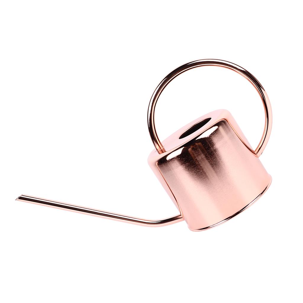 Watering Can Stainless Steel Large Capacity Retro Small Long Spout Water Can for Home Garden