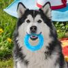 Summer Pet Chew Toy  Cooling Summer Teeth Cleaning Dog Chew Circle Fun Ice Cream Design Easy Clean Pet Supplies Frozen
