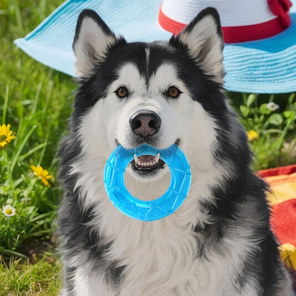 Summer Pet Chew Toy Cooling Summer Teeth Cleaning Dog Chew Circle Fun Ice Cream Design Easy Clean Pet Supplies Frozen