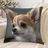 1pc Pillowcase, Chihuahua Print, 2D Flat Printing, Single-Sided Print (No Pillow Insert), 17.72 X 17.72 Inches (45 X 45 Cm), Non-Real Embroidery, for 