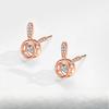 Rabbit Earrings Niche Design Earrings for Women's New Summer Light Luxury Earrings Cute