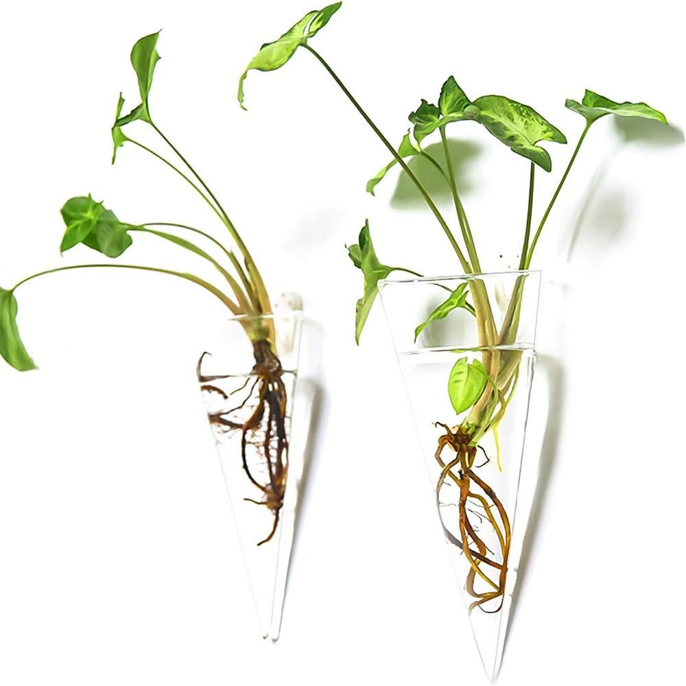 Коническая ваза для настенного монтажа, гидропонные растения, цветочный горшок, ваза для размножения растений, декор для дома и офиса