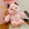 Soft Cartoon Pig Plush Toys Companion Gold Mink Velvet Material Kids Gift Girls