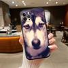 NH32 husky dog New High-End Shell Phone Case for Xiaomi Poco F8 M4 M5 M6 M7 X3 X6 X7 Pro GT NFC Ultra