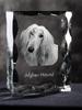 Afghan Hound, Tazi - crystal with a picture of a dog, glass statuette with a picture, unique frame with a picture from Art-Dog brand