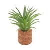 Yousheng Artificial Potted Succulents Plants Refrigerator Magnet Home Office Kitchen Locker Fridge 3D Miniature Cork Pot Fake Plants Magnetic