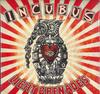 Виниловая пластинка INCUBUS - Light Grenades (180г) 88765404081 Эпичный, Бессмертный  2013 США Рок