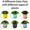 Пластиковые 6 штук Искусственные растения Маленькие, Мини искусственные растения для дома Фермерский дом Ванная полка Декор (Много, Высота : 17см)