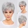 Ladies Silver Grey Wig With Bangs Short Natural Curly Synthetic Wigs for Women Fake Hair Wig Natural Looking Heat Resistant Wig