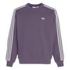 Adidas Оригинальная толстовка Originals 3 Stripes FW25 в полоску, свободного кроя, пуловер с длинным рукавом, мужская толстовка KG3900