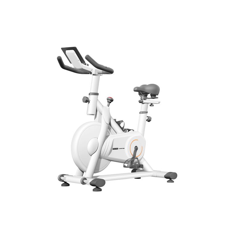 JD Zao Smart Self-Generating Spin Bike CN plug (adapter included)