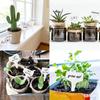 100 Pcs White T-Type Plant Labels 6×10cm PVC Waterproof Garden Tags Reusable Nursery Markers for Flowers Vegetables Potted Plants