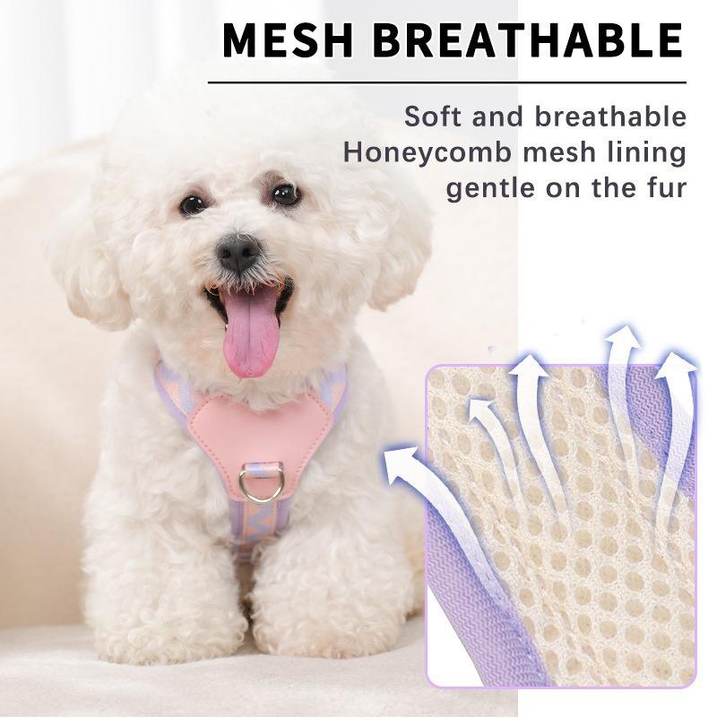 Dog Harness and Leash Set for Small Medium Dogs, Lightweight Breathable Mesh Puppy Harness, Adjustable Soft Pet Vest for Walking