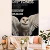 DDeftones Band Anime Tapestry Hanging Tarot Hippie Wall Rugs Dorm Home Decor