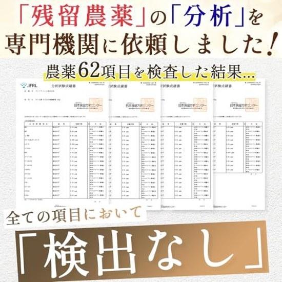 Supervised registered dietitian domestically produced dried vegetables Rifukobo focused on Kyushu shiitake hijiki dry veggie 100g whole hijiki.