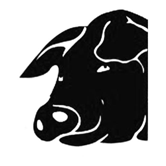 Yousheng Peek-a-Boo металлический знак с изображением животных, выглядывающих из-за угла, садовый знак с силуэтом животных, двусторонний знак с изображением животных, выглядывающих из-за угла, для наружной фермы, забора, столба с деревом