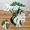 6Pcs 3D Printed Monstera Leaf Coaster Set Detachable Plant-Themed Drink Pads with Hidden Storage Pot Unique Home Decor Gift for Plant Lovers