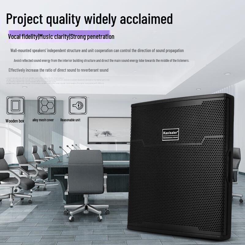 KAXISAIER Commercial 10-inch Wall-Mounted Speaker N10
