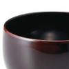 Lacquerware Dishwasher Made in Japan J-kitchens Bowl, Hand-Painted, Safe, PID-528220,