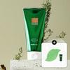 [Подарок] Welderma Chaisul Tea Tree Herb Tox Пилинг-маска 150г + Эксклюзивная кисть/Миниатюра пилинг-маски и губка для пилинга в подарок