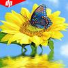 Алмазная картина Подсолнух Полная круглая дрель Алмазная мозаика Бабочка Алмазная вышивка