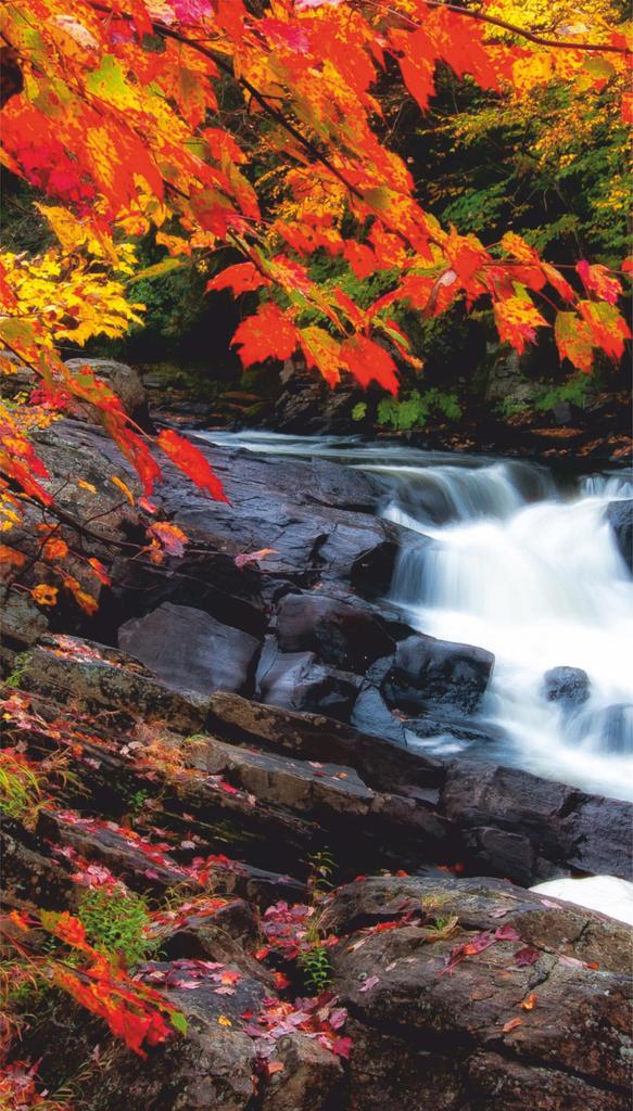 Картина-обогреватель "Осенний водопад" на пленке Monocrystal 105x60 см 300 Вт