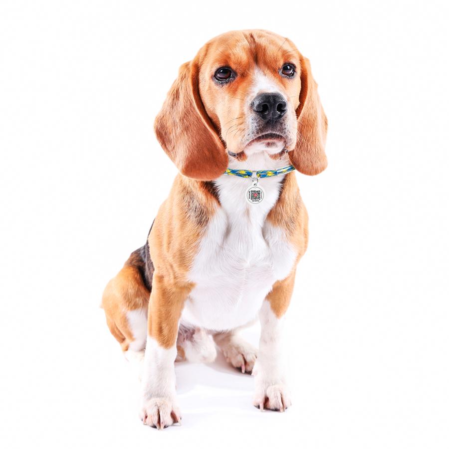 Шнурок для адресника из паракорда WAUDOG Smart ID, светоотражающий, "Colors of freedom", S, Д 4 мм, Дл 25-45 см