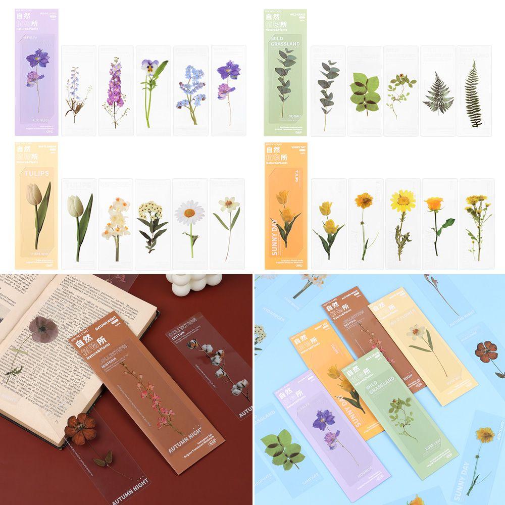 Book Note Marker PET Bookmarks Card Specimen Bookmarks Nature Plants Bookmarks Translucent Flower