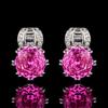 Аксессуары Ювелирные изделия Серьги Серьги Розовый срез Пара Зеленый Розово-красный Женские Свежие Премиум Легкая Роскошь