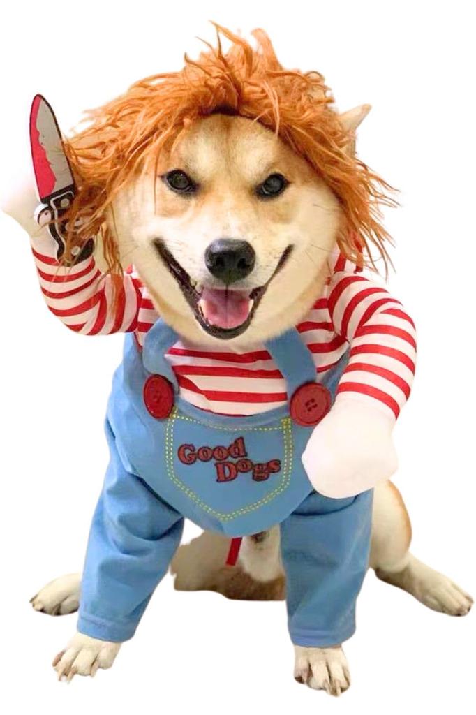 Pet Palette Косплей на Хэллоуин для собак и кошек, Маскарадный костюм для питомца, Маскировка, для маленьких, средних и больших собак, Двуногий (Чаки, Л)