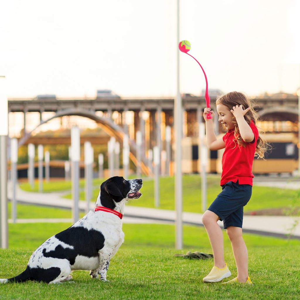 Pet Throwing Stick, Throwing Device, Throwing Toy, Dog And Cat Interactive Ball Picking Pet Toy