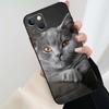 Красивый серый британский короткошерстный кот Чехол для iPhone 12 13 Mini 13 11 12 14 Pro Max XS X XR 6S 7 8 Plus SE 2020 Силиконовый чехол
