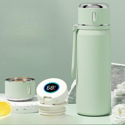 550 мл термосы из нержавеющей стали с дисплеем температуры прямая чашка для путешествий на открытом воздухе изолированный термос портативная грелка