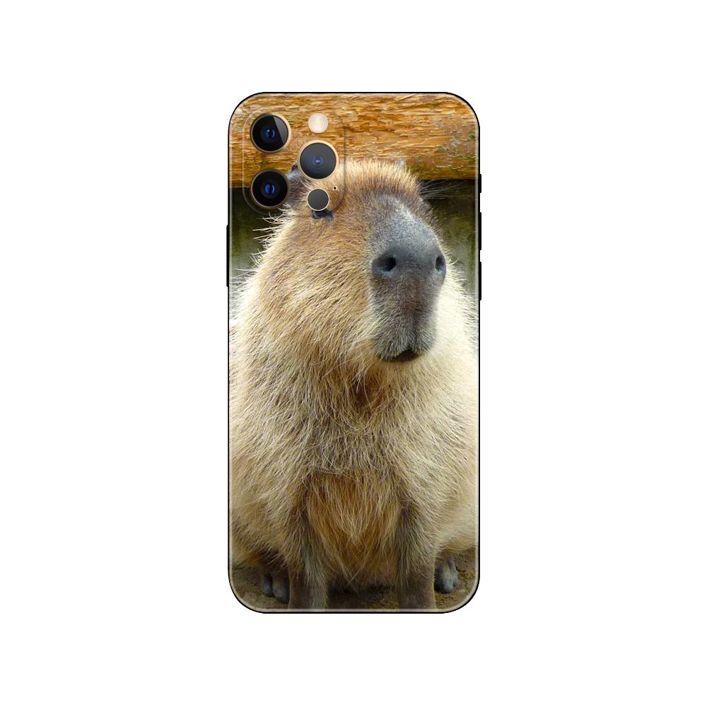 Capybara Phone Case for Iphone 5 5s 2020se 6 6s 7 8 Plus X 10 XR XS 11 12 13 Mini Pro MAX Black Tpu Back Cover